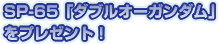 SP-65「ダブルオーガンダム」をプレゼント！