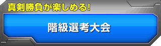 階級選考大会 真剣勝負が楽しめる!