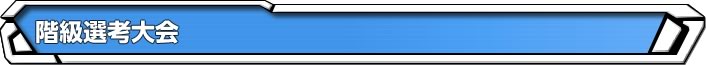 階級選考大会