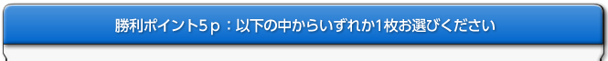 勝利ポイント5P：以下の中からいずれか1枚お選びください