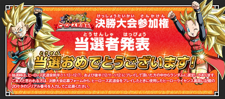 ヒーローズ武道会 決勝大会参加権 当選者発表