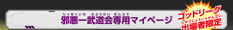 邪悪一武道会専用マイページ