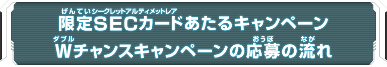 限定SECカードあたるキャンペーン Wチャンスキャンペーンの応募の流れ