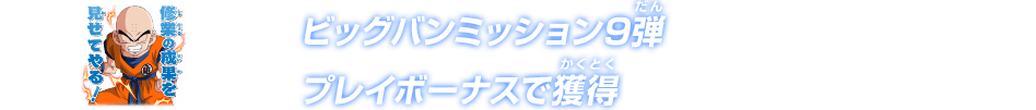 ビッグバンミッション9弾 プレイボーナスで獲得