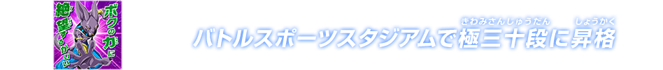 チャットスタンプ 極三十段昇格