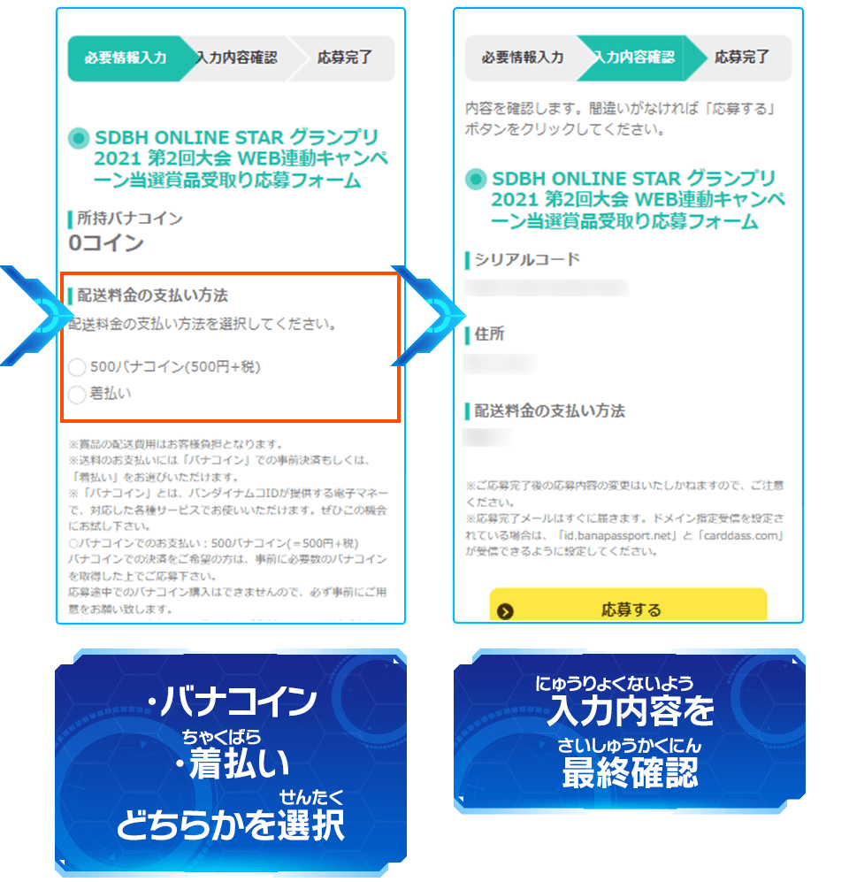 「配送先住所」「配送料金のお支払方法」を入力して応募を完了させて下さい。