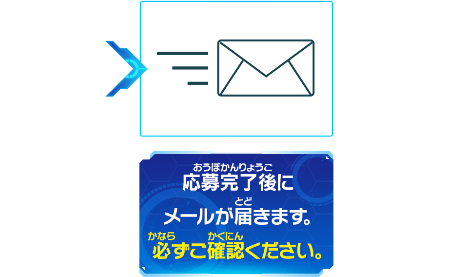 「配送先住所」「配送料金のお支払方法」を入力して応募を完了させて下さい。