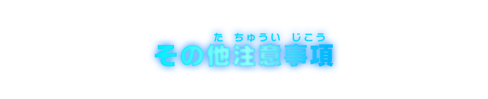 その他注意事項