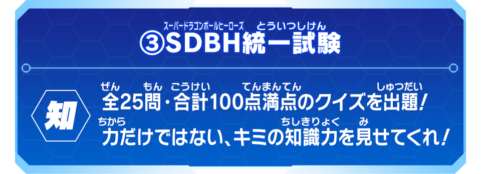 ③SDBH統一試験