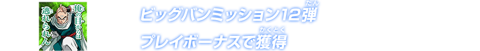 ビッグバンミッション12弾 プレイボーナスで獲得
