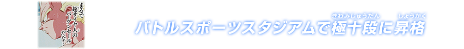チャットスタンプ 極十段昇格