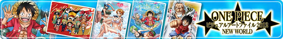 ONE PIECE ビジュアルアートファイル2012 NEW WORLD