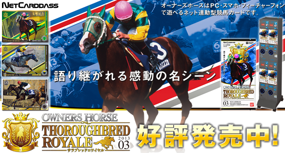 OWNERS HORSE