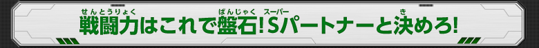 戦闘力はこれで盤石！Sパートナーと決めろ！