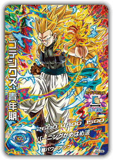 ⭐️ドラゴンボールヒーローズ⭐️新品9ポケットカードバインダー超サイヤ人4覚醒