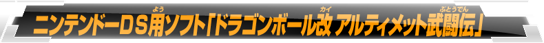 ニンテンドーDS用ソフト「ドラゴンボール改 アルティメット武闘伝」