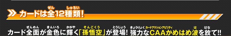 カードは全12種類！