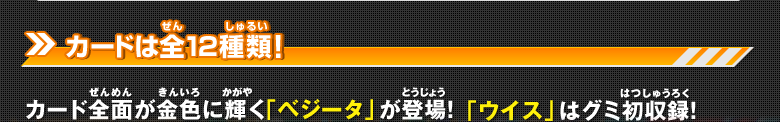 カードは全12種類！