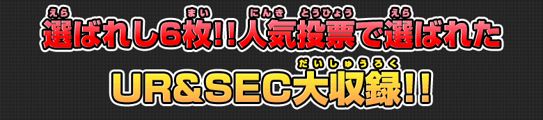 選ばれし6枚!!人気投票で選ばれたＵＲ＆ＳＥＣ大収録!!