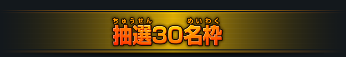 抽選30名枠