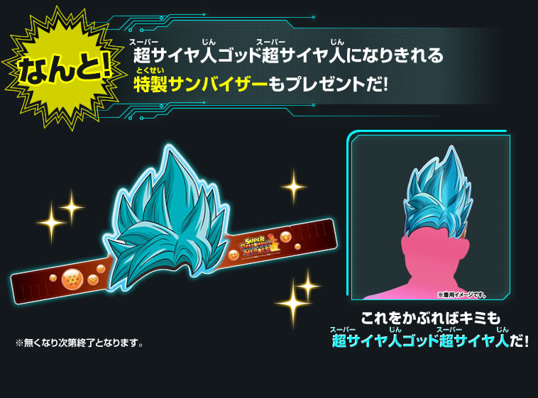 特性サンバイザー