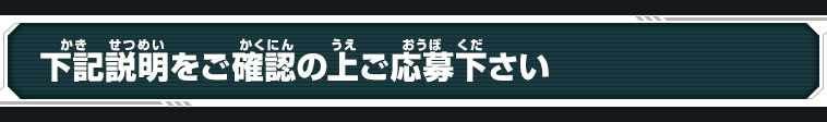 下記説明をご確認の上ご応募下さい