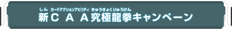 新CAA　究極龍拳キャンペーン