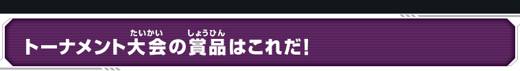トーナメント大会の賞品はこれだ！