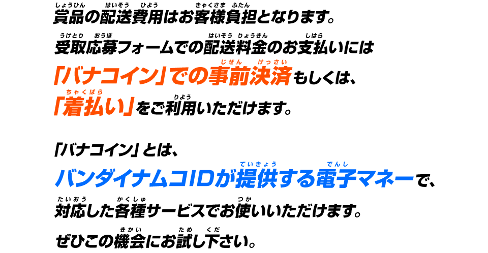 賞品の配送費用はお客様負担となります。