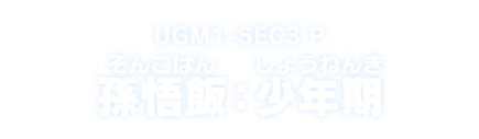 UGM1-SEC3 P 孫悟飯