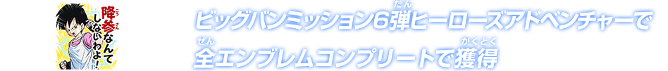 ビッグバンミッション6弾 ヒーローズアドベンチャーで全エンブレムコンプリートで獲得