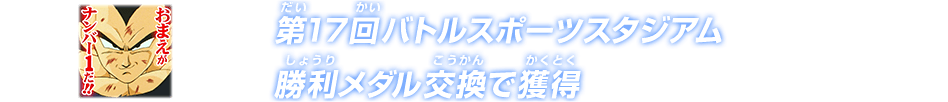 第17回バトルスポーツスタジアム勝利メダル交換で獲得