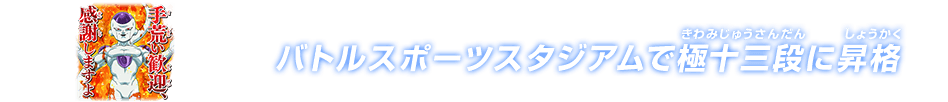 チャットスタンプ 極十三段昇格