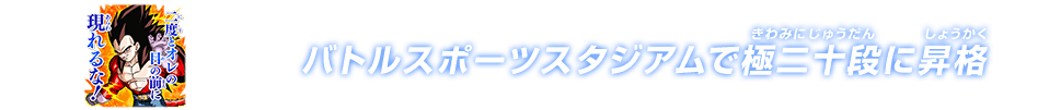 チャットスタンプ 極二十段昇格