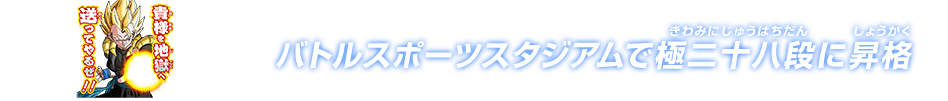 チャットスタンプ 極二十八段昇格