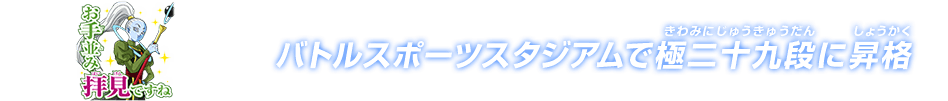 チャットスタンプ 極二十九段昇格