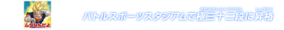 チャットスタンプ 極三十二段昇格