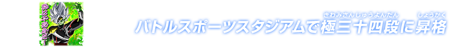 チャットスタンプ 極三十四段昇格