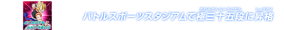 チャットスタンプ 極三十五段昇格