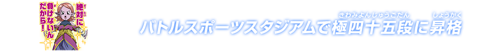 チャットスタンプ 極四十五段昇格