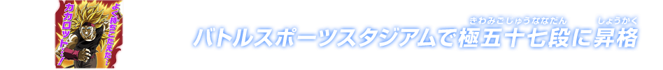 チャットスタンプ 極五十七段昇格