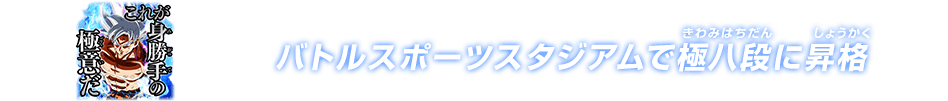 チャットスタンプ 極八段昇格