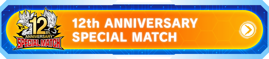 12th ANNIVERSARY SPECIAL MATCH