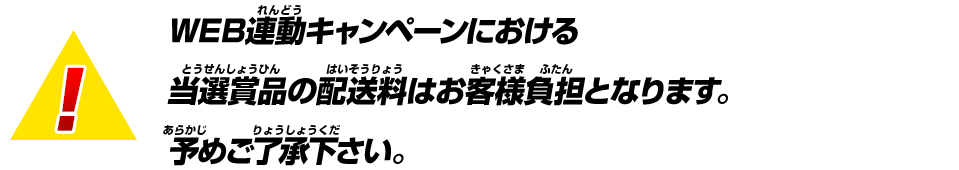 WEB連動キャンペーンにおける当選賞品の配送料はお客様負担となります。予めご了承下さい。