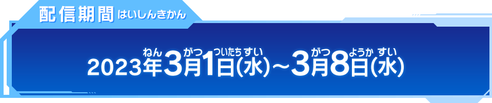 配信期間