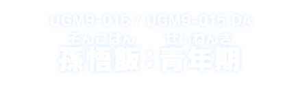 UGM9-015