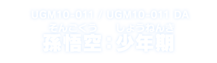 UGM10-011