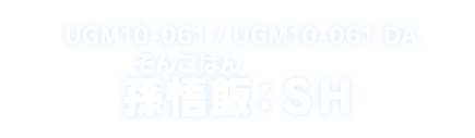 UGM10-061