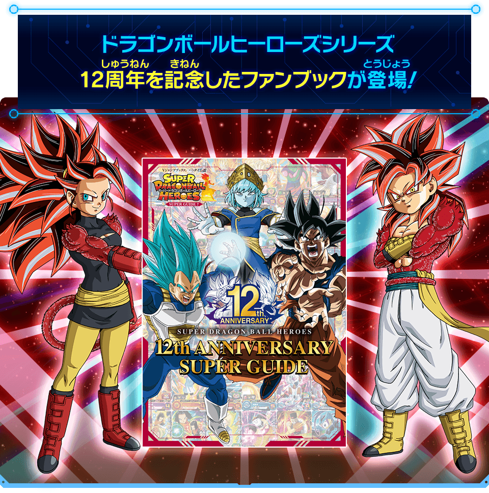 ドラゴンボールヒーローズ オフィシャルローダー 12th