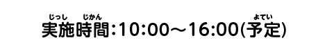 実施時間：10：00～16:00(予定)